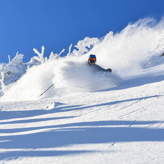 Winter photo of a single person skiing in fresh powder with a clear blue sky in the background.